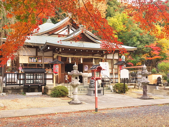 紅葉めぐり2017～松ヶ崎大黒天～(11/26)_d0026589_00283386.jpg