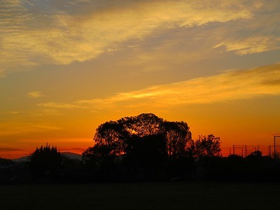 f0181394_15042002.jpg