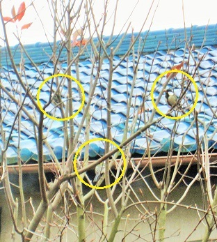 c0117898_21464474.jpg
