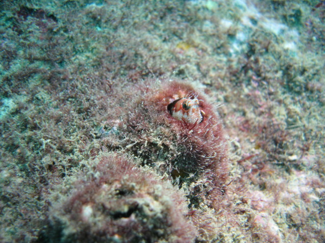 e0115199_13463500.jpg