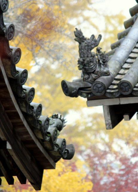 もみじの美しい神社にて_a0260500_09502610.jpg