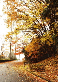 c0039501_12044697.jpg
