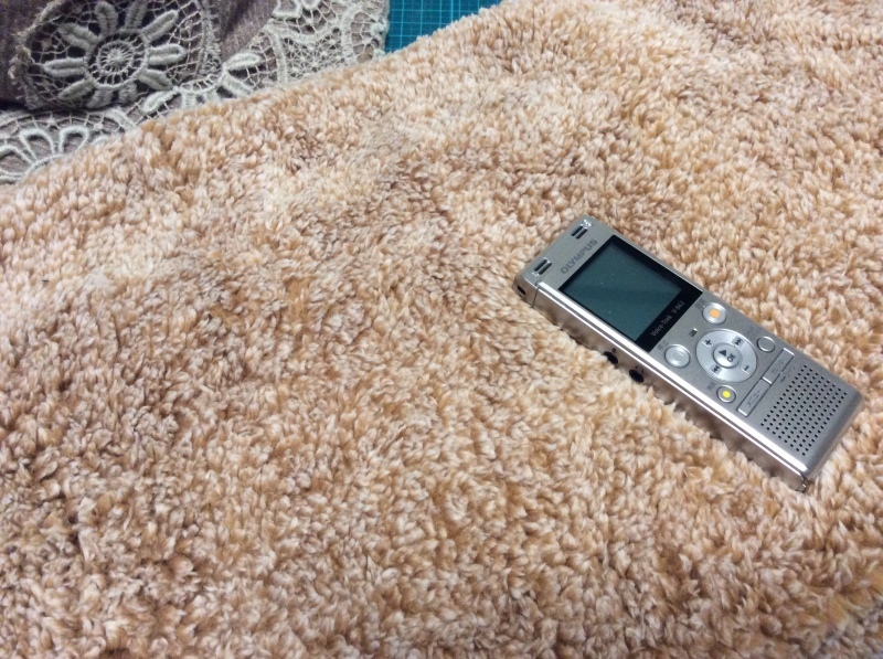 b0220002_21180457.jpeg