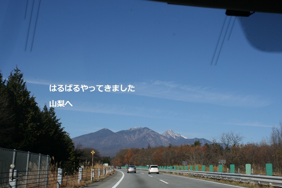 はっちゃん 新しい家族のもとへ!_f0242002_11310396.jpg