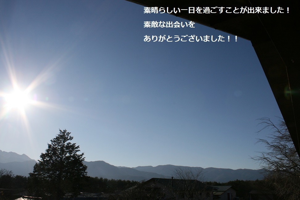 はっちゃん 新しい家族のもとへ!_f0242002_11314504.jpg