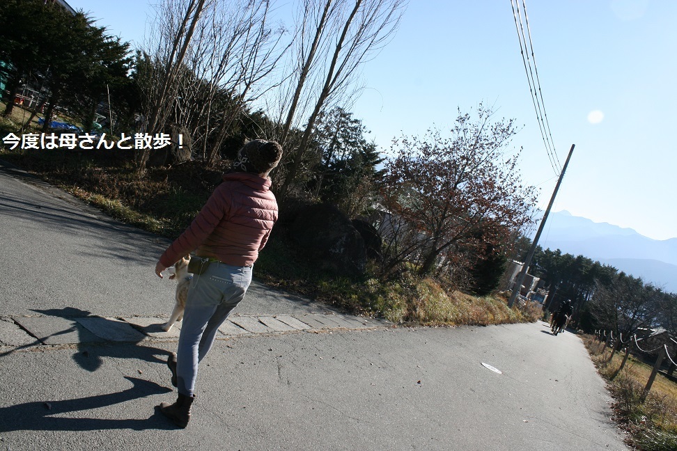 はっちゃん 新しい家族のもとへ!_f0242002_11315609.jpg