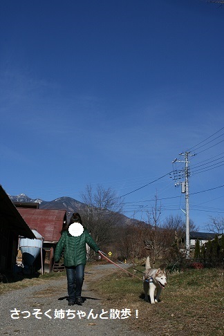はっちゃん 新しい家族のもとへ!_f0242002_11331842.jpg
