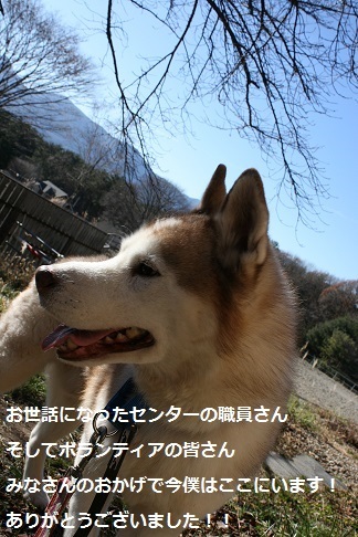はっちゃん 新しい家族のもとへ!_f0242002_12175558.jpg