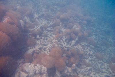 e0338303_21243969.jpg