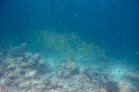 e0338303_21245298.jpg