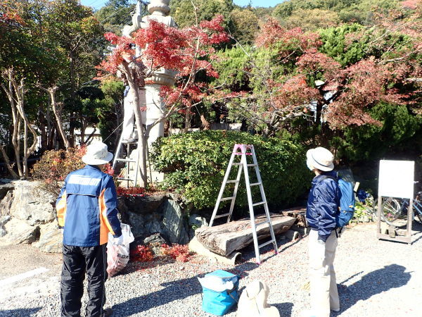 c0367107_15531592.jpg