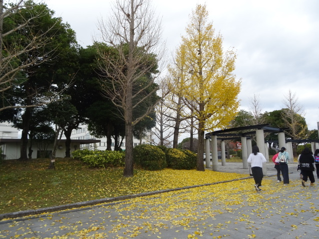 b0052108_15043559.jpg