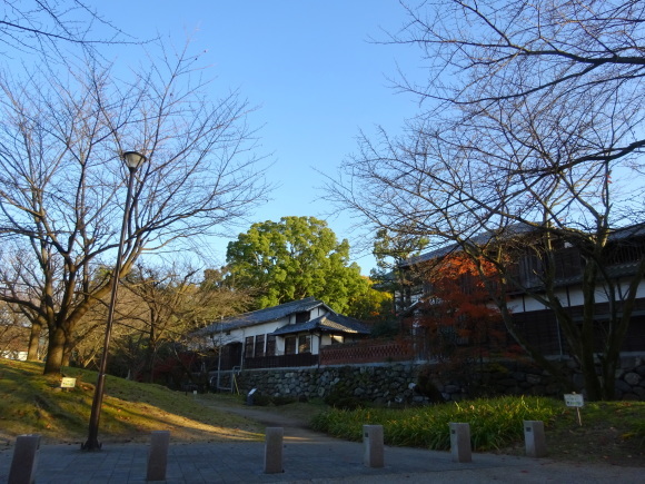 f0231709_09234965.jpg