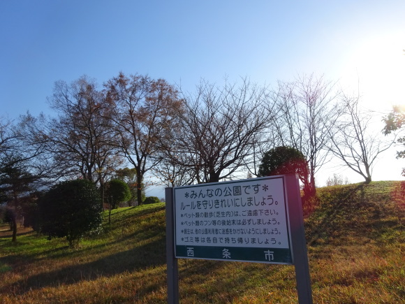 西条市運動公園内の散歩で樹木は冬支度…2017/12/2_f0231709_10510346.jpg