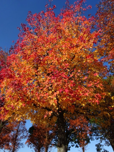 f0231709_10514674.jpg