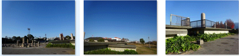 f0231709_10572596.gif