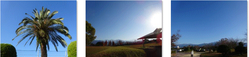 f0231709_10574960.gif