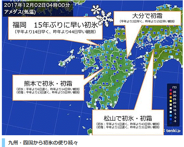 西条市運動公園内の散歩で樹木は冬支度…2017/12/2_f0231709_11165041.gif