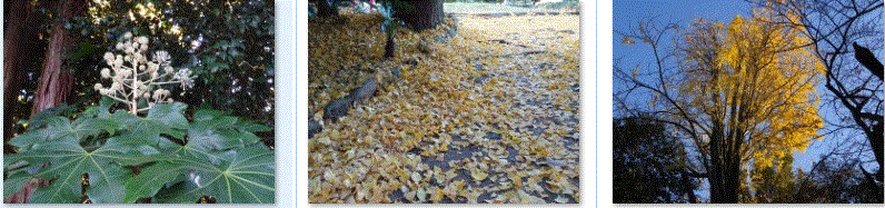 f0231709_14145748.gif