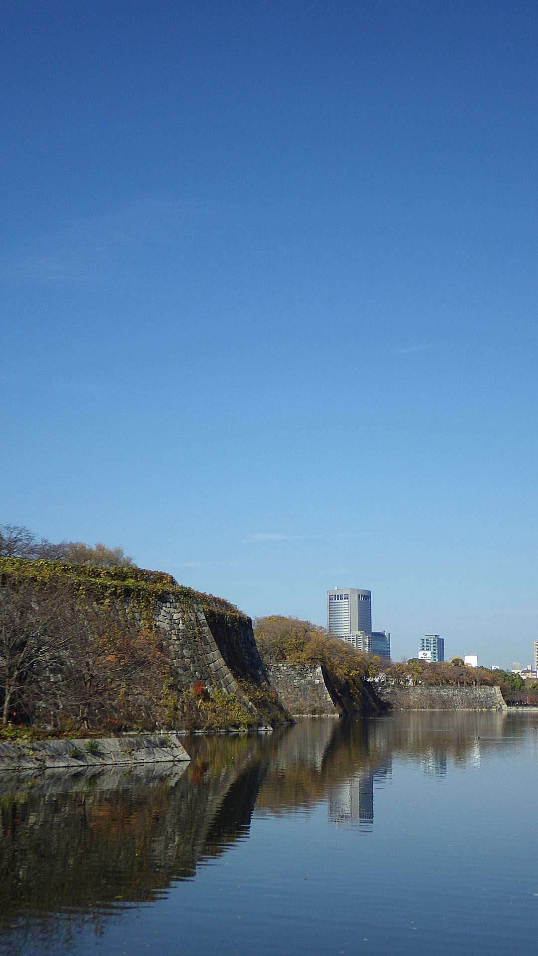 b0365011_21212559.jpg