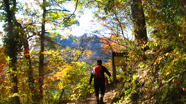 紅葉の妙義山 失敗登_f0302214_04343171.jpg