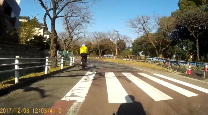 水元公園で紅葉_f0376214_17421310.jpg