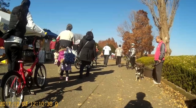 水元公園で紅葉_f0376214_17433308.jpg