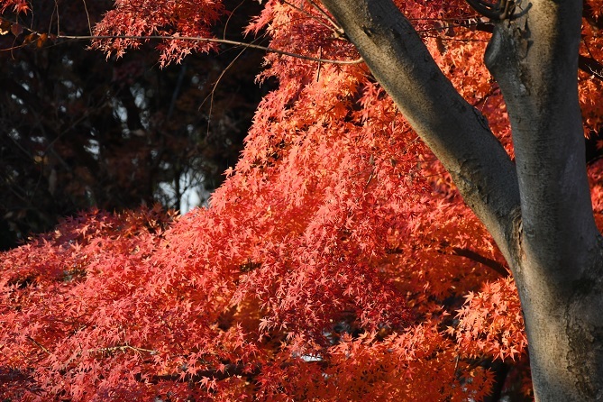 c0385415_00154483.jpg