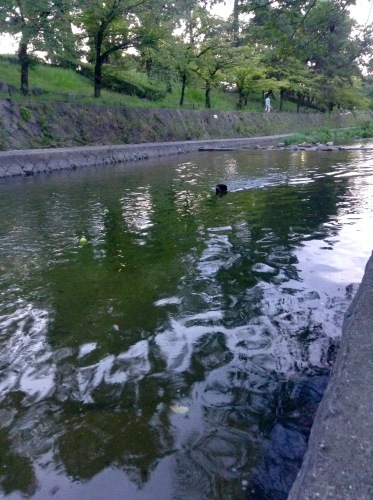c0324418_16040032.jpeg