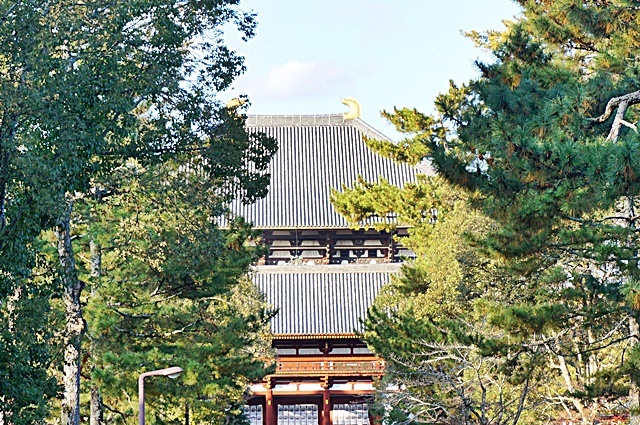 b0068423_21440100.jpg