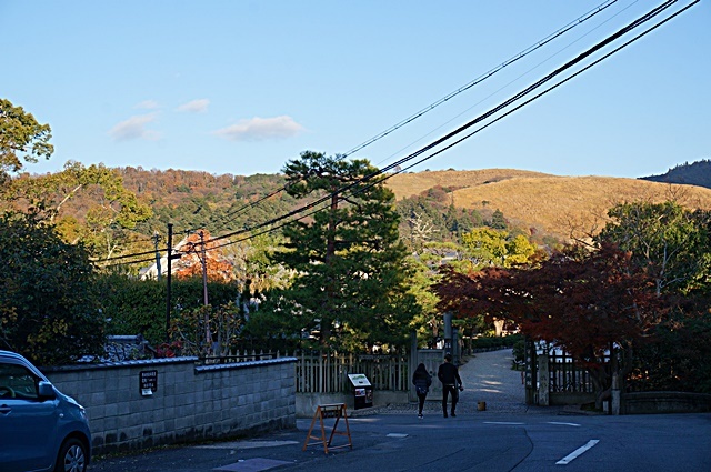 b0068423_21593183.jpg