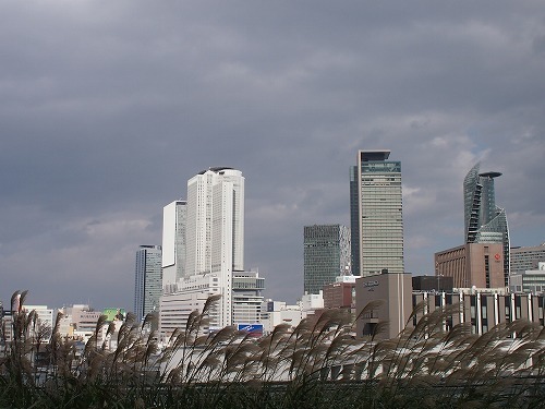a0148431_10251422.jpg