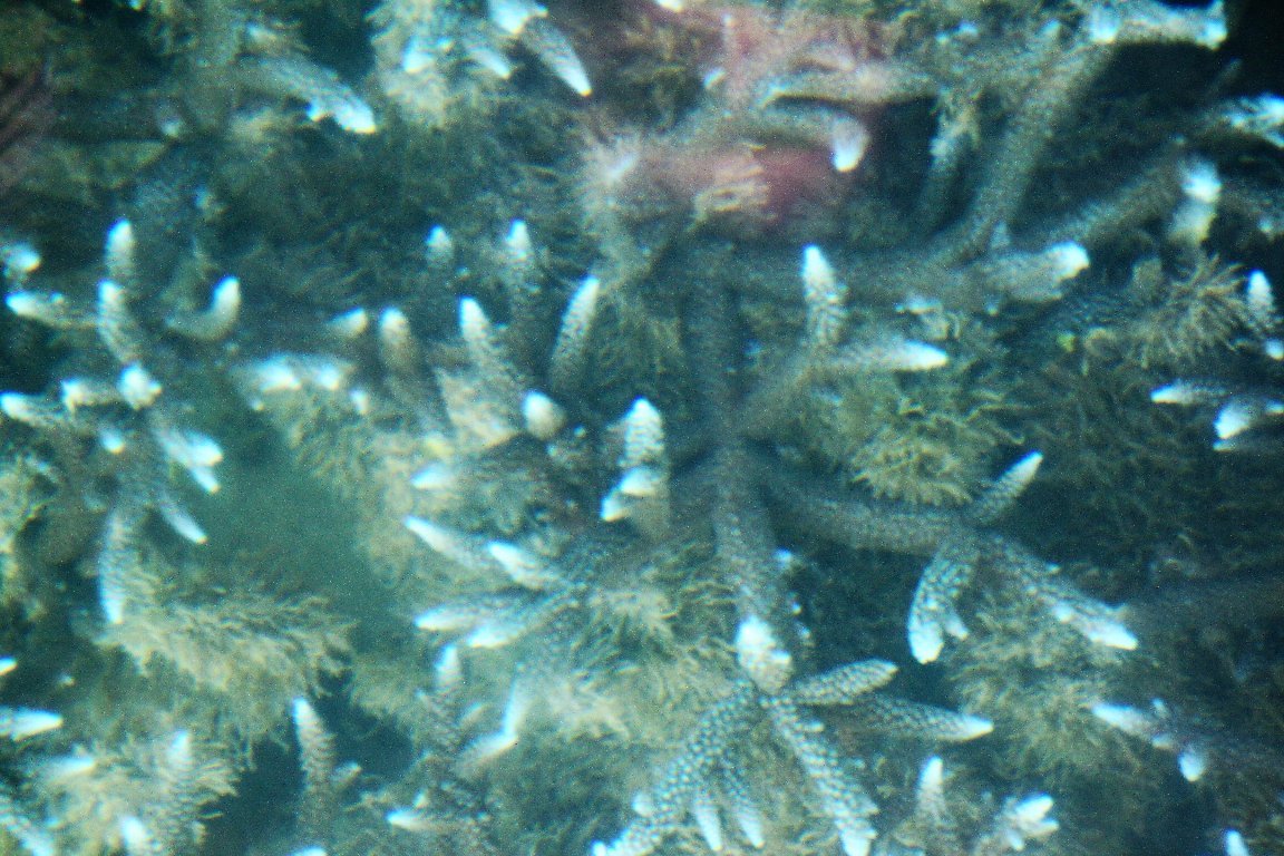 c0355331_15351305.jpg