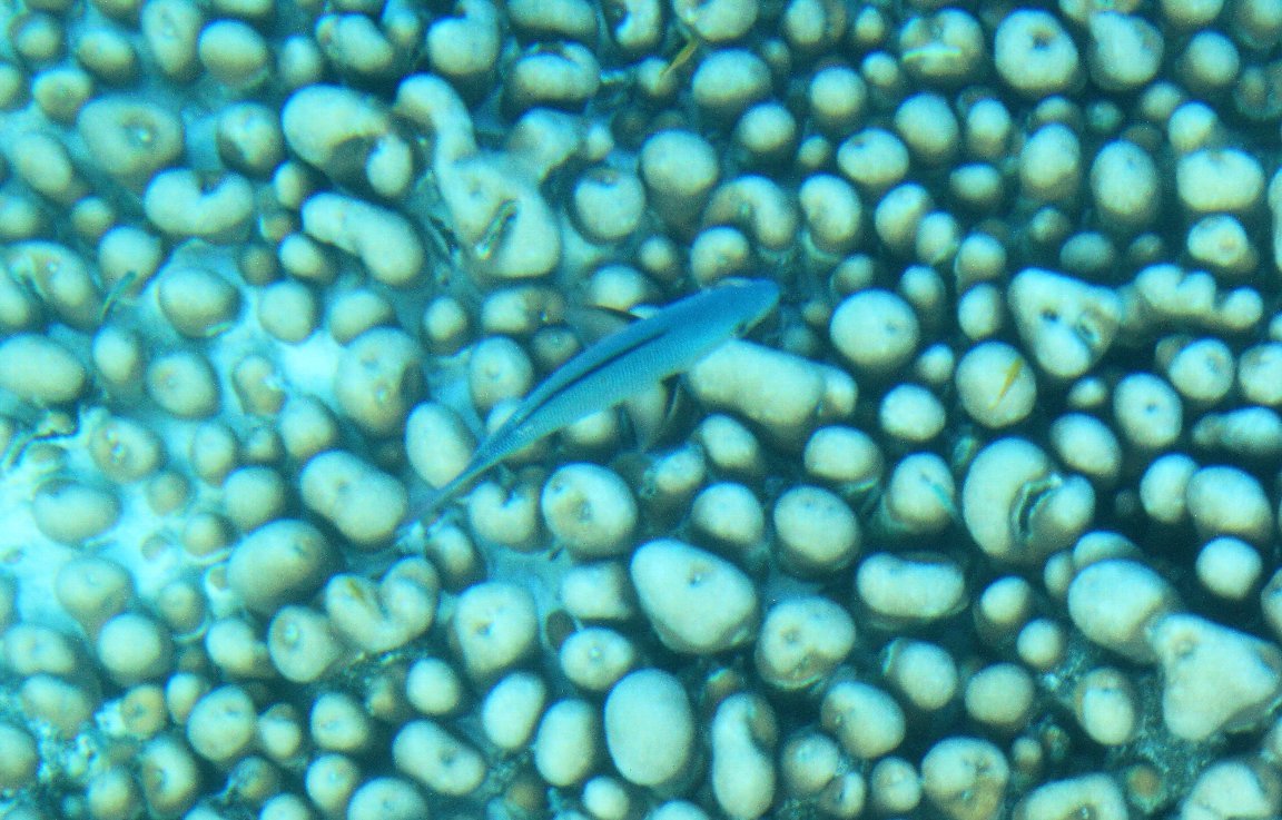 c0355331_15354268.jpg