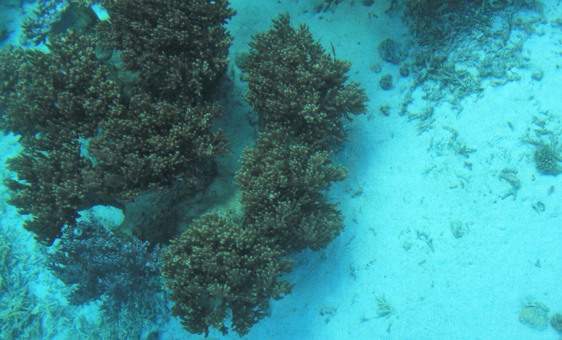 c0355331_15355914.jpg