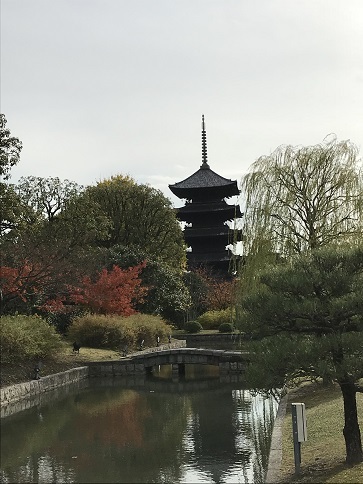 秋の東寺_c0081032_17104662.jpg