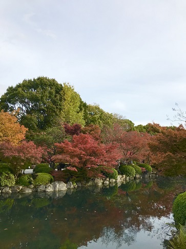 秋の東寺_c0081032_17113538.jpg