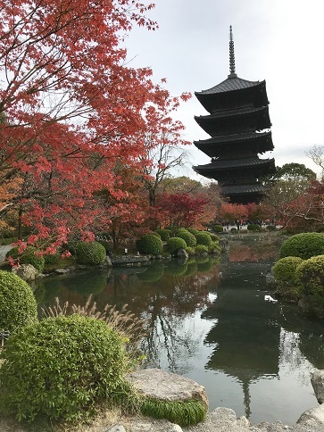 秋の東寺_c0081032_17120708.jpg