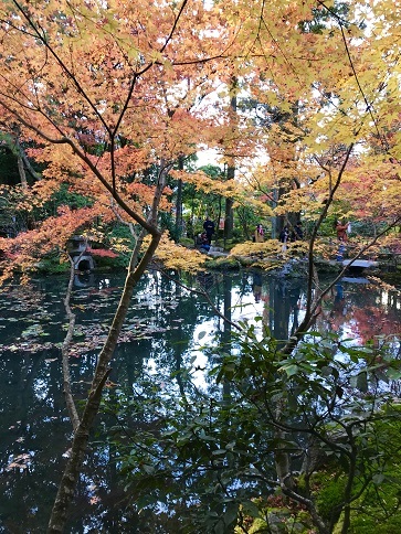 c0081032_17274945.jpg