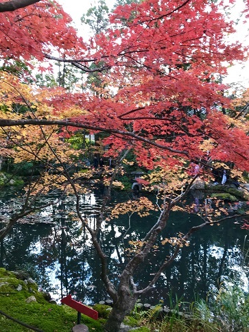 c0081032_17281647.jpg