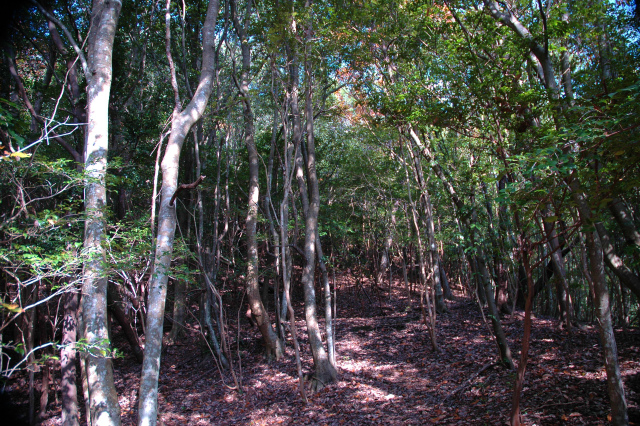 e0272335_19141330.jpg