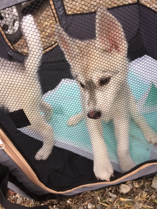 b0369239_15395623.jpeg