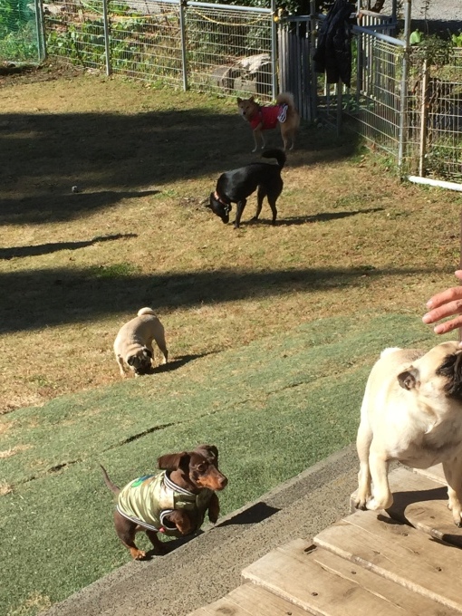 b0369239_15444314.jpeg