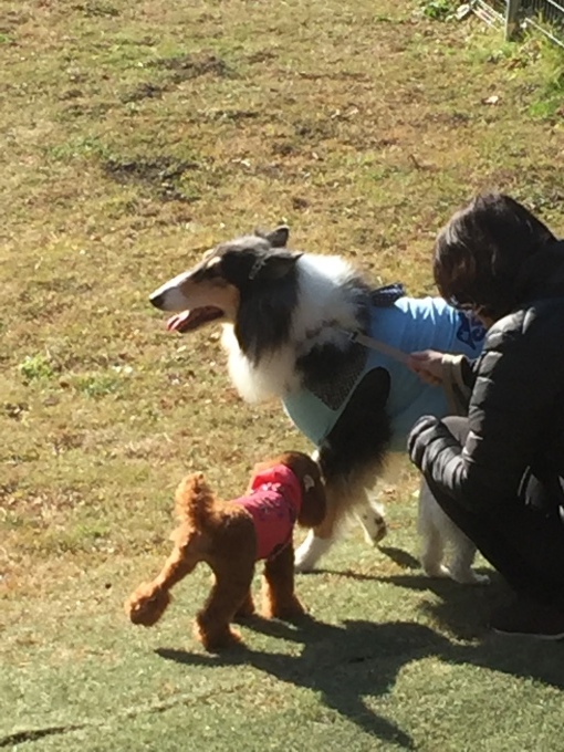 b0369239_15451122.jpeg