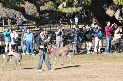 あれぇ〜　鹿の数少ないなぁ〜!!_a0100742_11304737.jpg