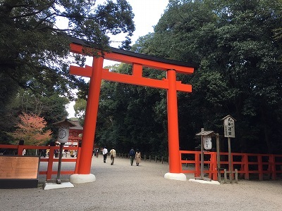 瑠璃光院・下鴨神社【C級呑兵衛まちぶらシリーズ】_e0173645_10482098.jpg