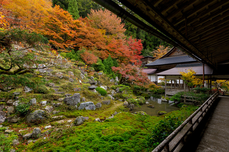 京都の紅葉2017 常照皇寺・山寺の秋_f0155048_227896.jpg