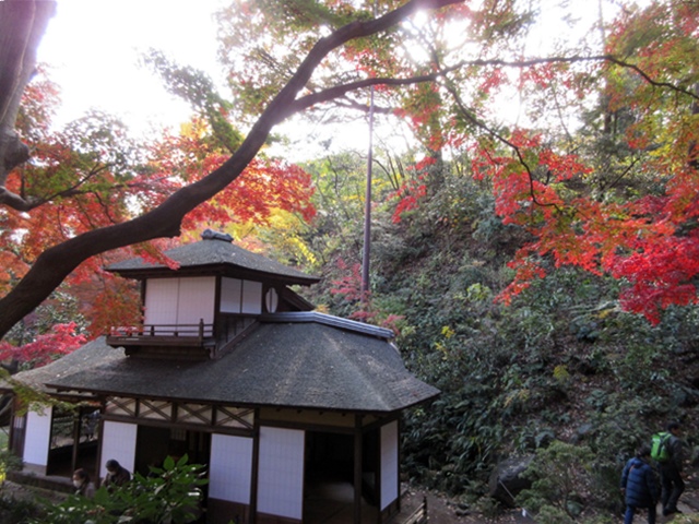 b0009849_1010369.jpg