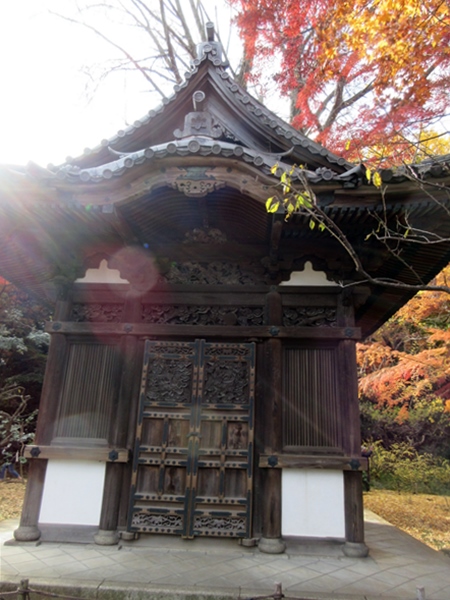 【本牧　三渓園】紅葉狩りの続き_b0009849_16325994.jpg