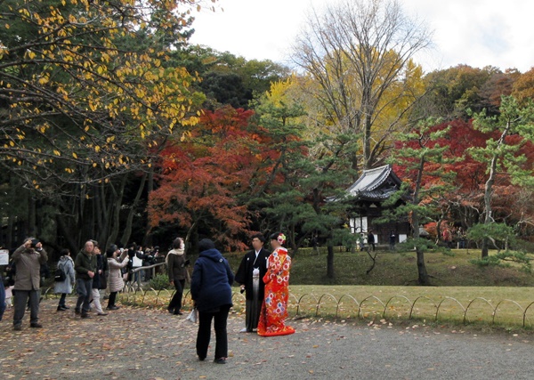 【本牧　三渓園】紅葉狩りの続き_b0009849_16373273.jpg